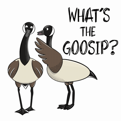 Two Geese Saying What's The Gossip GIF