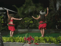 Two Girls Doing Hawaiian Dance GIF