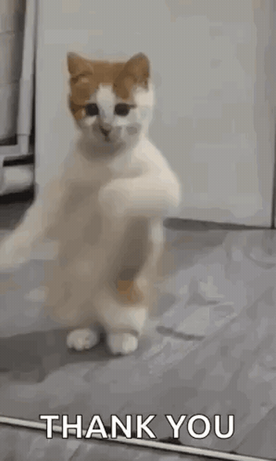 Two Girls Today Is July 31St 2021 GIF