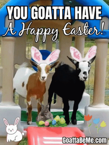 Two Goats Wearing Bunny Ears Are Standing In Front Of A Playhouse With Easter Eggs GIF