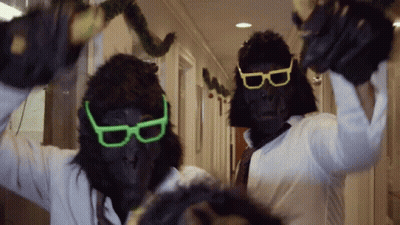 Two Gorillas Wearing Sunglasses Holding Bananas GIF