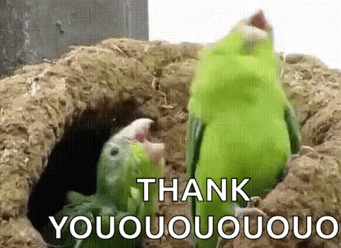Two Green Birds In Hole Saying Thank You GIF