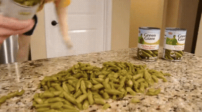 Two Green Giant Green Beans Cans GIF
