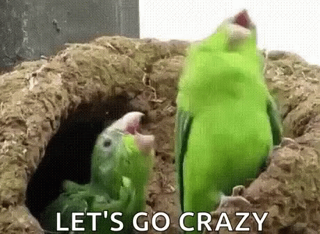 Two Green Parrots Are Standing Next To Each Other In A Hole . GIF
