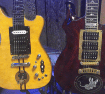 Two Guitars Are Sitting Next To Each Other One Of Which Has A Mouse On The Back GIF
