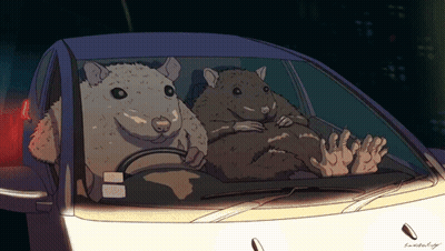 Two Hamsters Driving Car With A Plate GIF