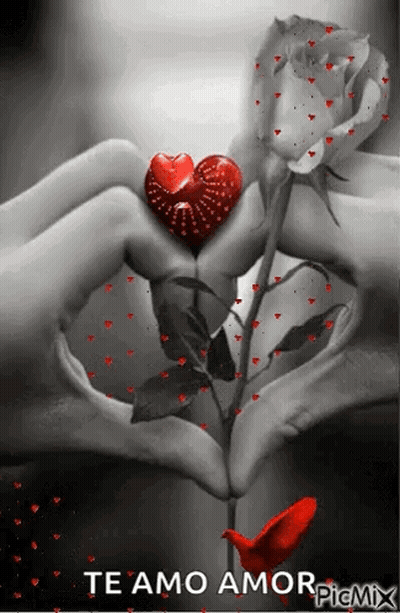 Two Hands Making Heart Shape With Rose GIF