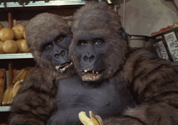Two-headed Gorilla Eating Banana