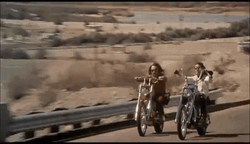 Two Hog Rider Driving Fast GIF