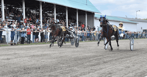 Two Horses Are Racing On A Track With A Crowd In The Background GIF