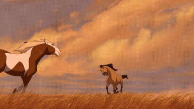 Two Horses Are Standing On Their Hind Legs In A Field With A Cloudy Sky In The Background GIF