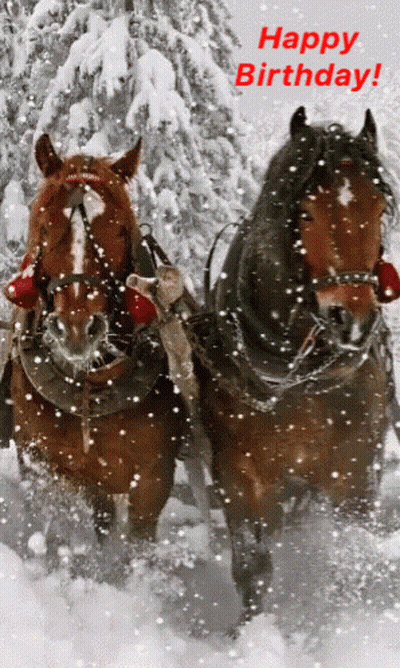 Two Horses Pulling Sleigh In Snow Happy Birthday GIF