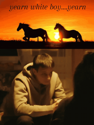 Two Horses Yearn White Boy GIF