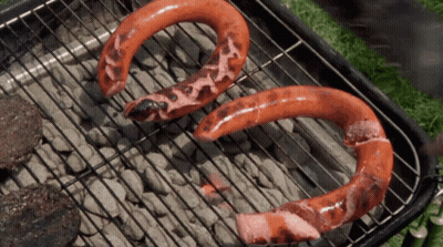 Two Horseshoe Shaped Sausages Are Cooking On A Barbecue Grill GIF