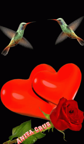 Two Hummingbirds Flying Over A Green Heart Next To A Red Rose GIF