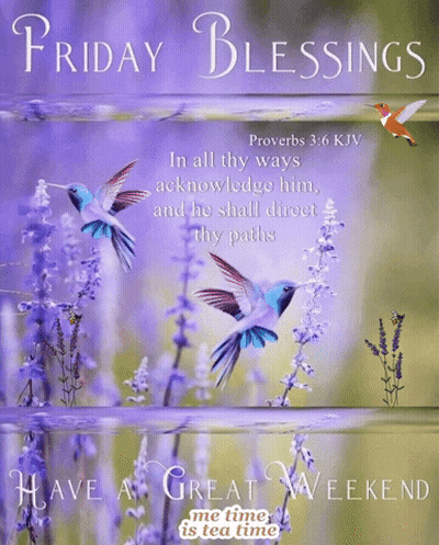 Two Hummingbirds Near Purple Flowers GIF
