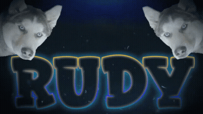 Two Husky Dogs Are Standing In Front Of A Sign That Says Rudy GIF
