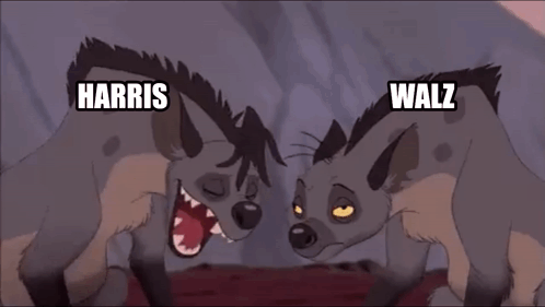Two Hyenas Are Standing Next To Each Other And One Of Them Is Named Harris GIF