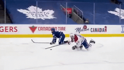 Two Ice Hockey Players Are Playing A Game On The Ice In Front Of A Canadian Tire Banner . GIF