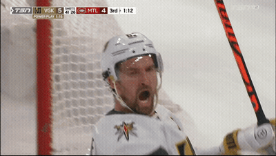 Two Ice Hockey Players Fighting One Number 9 GIF