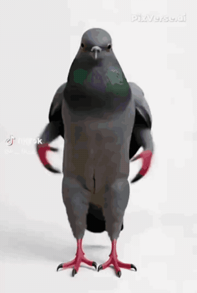 Two Ice Hockey Players In CCM Helmets GIF
