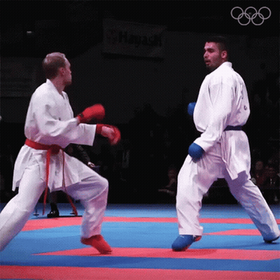 Two Karate Fighters Are Fighting On A Mat With A Sign That Says Hayati On It GIF
