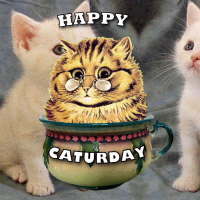 Two Kittens And Cat In Cup Saying Happy Saturday GIF