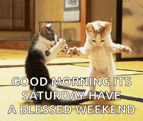 Two Kittens Are Dancing In A Room With The Words `` Good Morning Its Saturday Have A Blessed Weekend '' Above Them . GIF