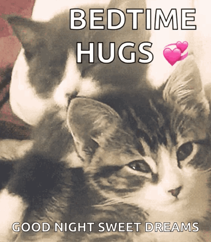 Two Kittens Are Hugging Each Other With The Words Bedtime Hugs Good Night Sweet Dreams GIF