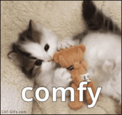 Two Kittens Are Playing With A Teddy Bear And The Word Comfy Is On The Bottom Of The Picture GIF