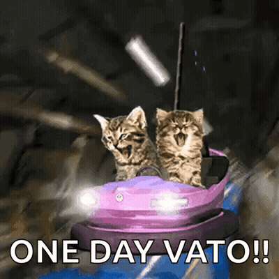 Two Kittens Are Riding On A Purple Bumper Car With The Words One Day Vato Below Them GIF