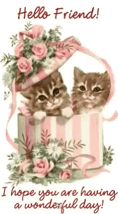 Two Kittens Are Sitting In A Box With Flowers On It . GIF