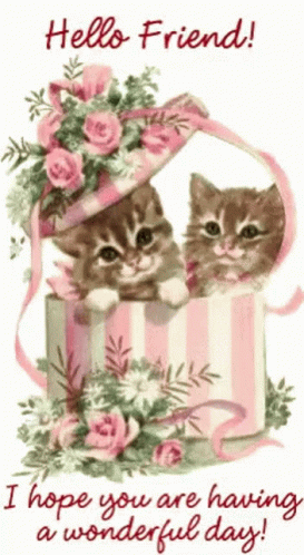 Two Kittens Are Sitting In A Pink Box With Flowers And The Words Hello Friend I Hope You Are Having A Wonderful Day GIF