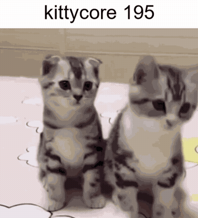 Two Kittens Are Standing Next To Each Other And The Text Kittycore 195 Is Above Them GIF
