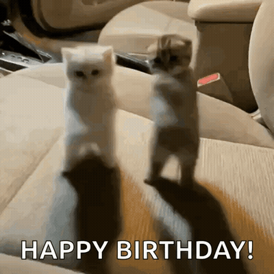 Two Kittens Are Standing Next To Each Other In A Car And The Words Happy Birthday Are Written On The Bottom GIF