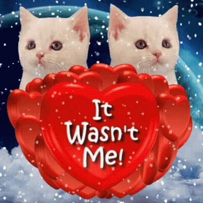 Two Kittens Holding A Heart That Says It Wasn 'T Me GIF