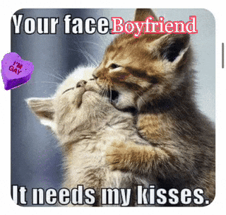 Two Kittens Kissing With A Purple Heart That Says I 'M Gay On It GIF