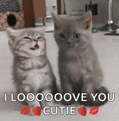 Two Kittens One Saying I Looooove You Cutie GIF