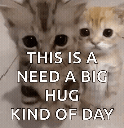 Two Kittens Saying This Is A Need A Big Hug Kind Of Day GIF