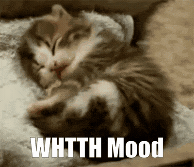 Two Kittens Sleeping Whtth Mood GIF