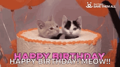 Two Kittens Sticking Heads Out Of Cake GIF