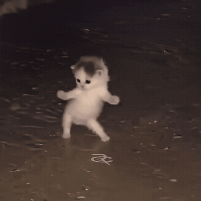 Two Kittens Walking in Dark One With Letter A