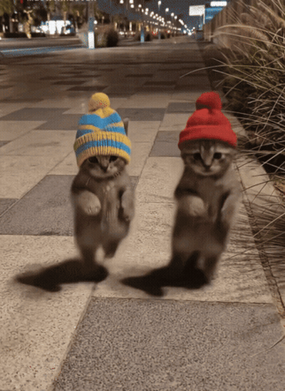Two Kittens Wearing Hats Are Walking Down The Sidewalk GIF