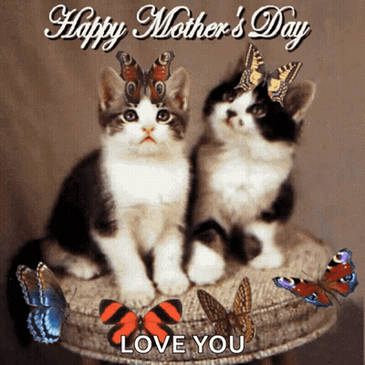 Two Kittens With Butterflies Happy Mother's Day Love You GIF
