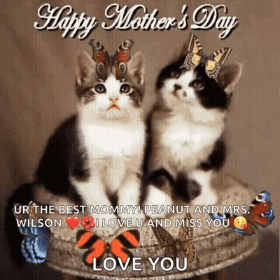 Two Kittens With Butterflies Happy Mother's Day GIF