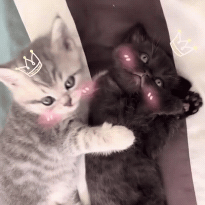 Two Kittens With Crowns On Their Faces Are Hugging Each Other . GIF