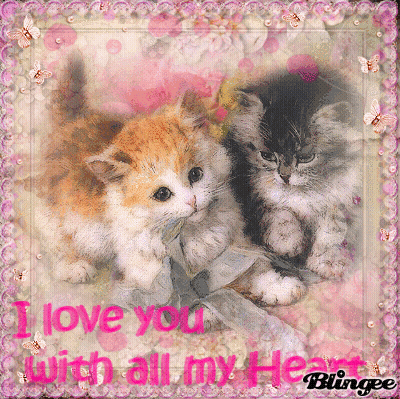 Two Kittens With I Love You Heart GIF