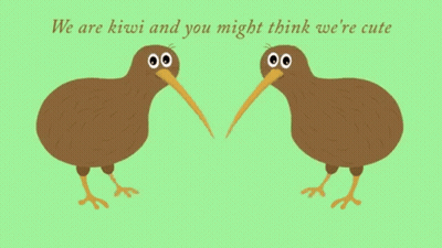 Two Kiwi Birds Are Standing Next To Each Other With A Kiwi Slice In Front Of Them GIF