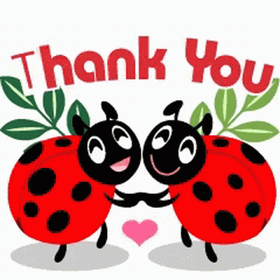 Two Ladybugs Hugging Saying Thank You GIF