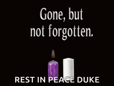 Two Lit Candles Gone But Not Forgotten Rest In Peace Duke GIF